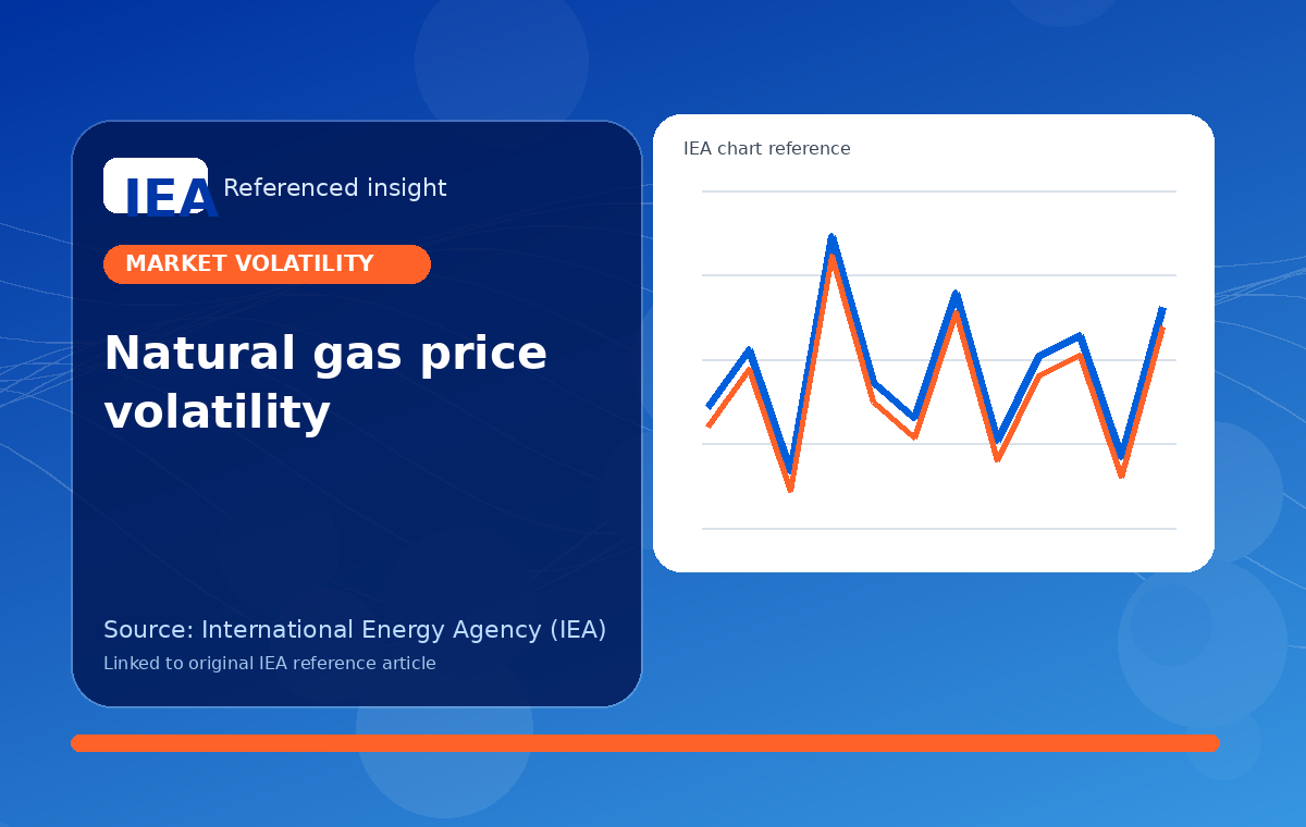 What drives natural gas price volatility in Europe and beyond?