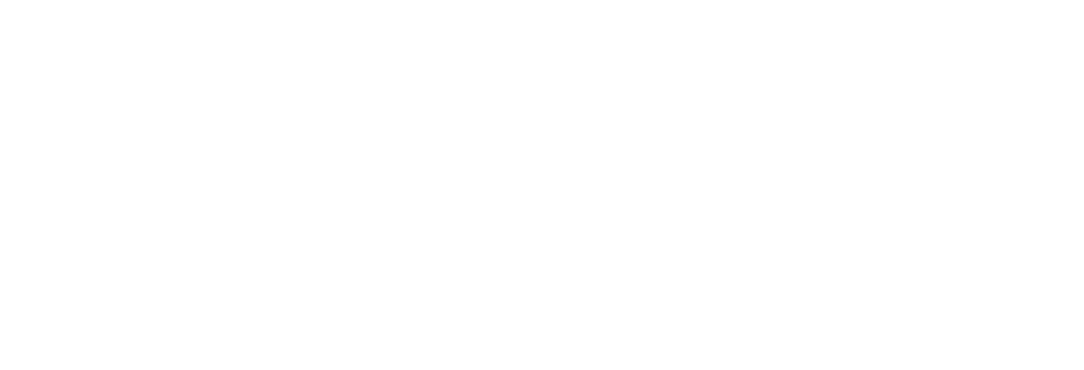 Owais Mir signature logo